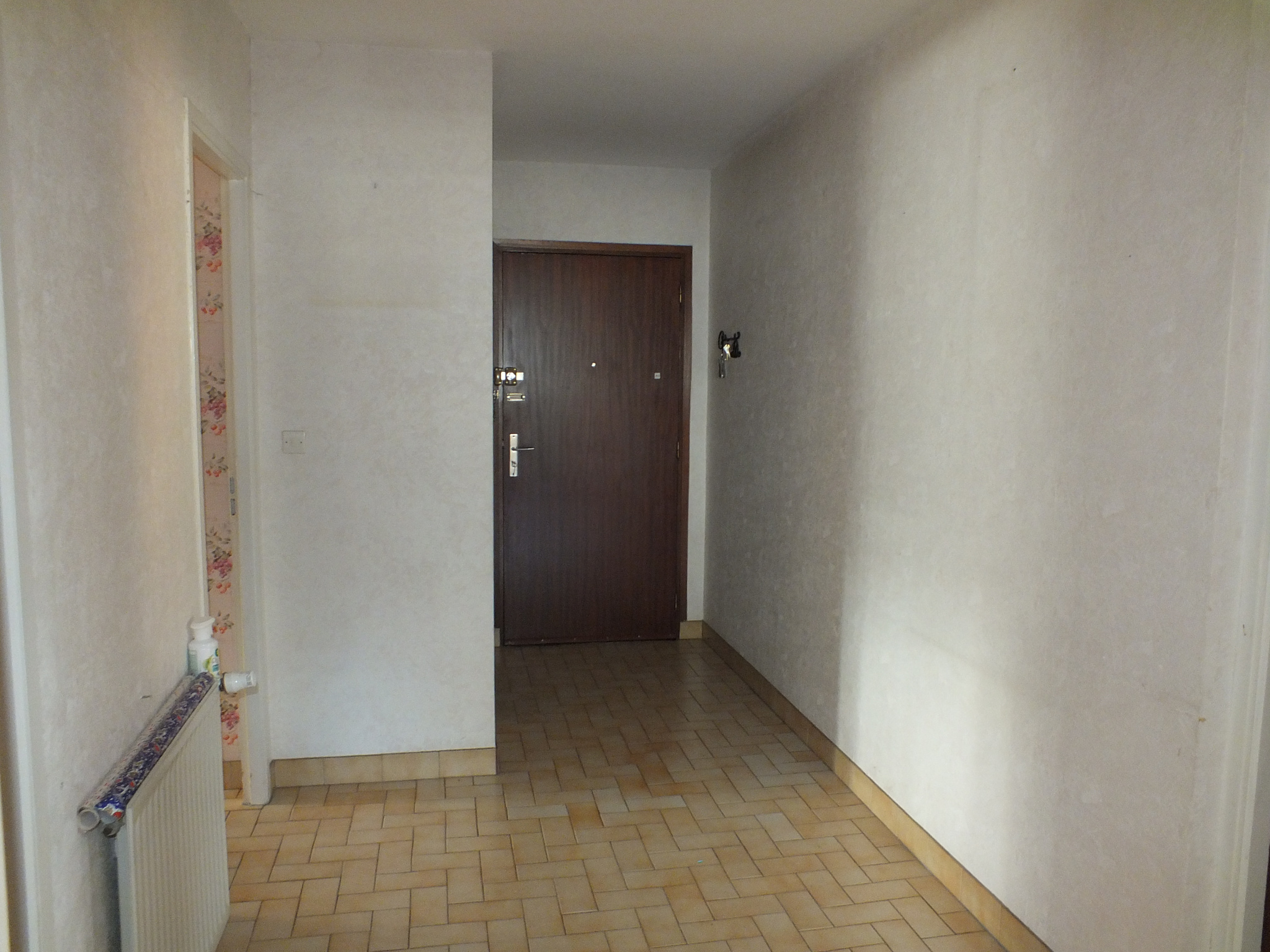 vente appartement BELLEY