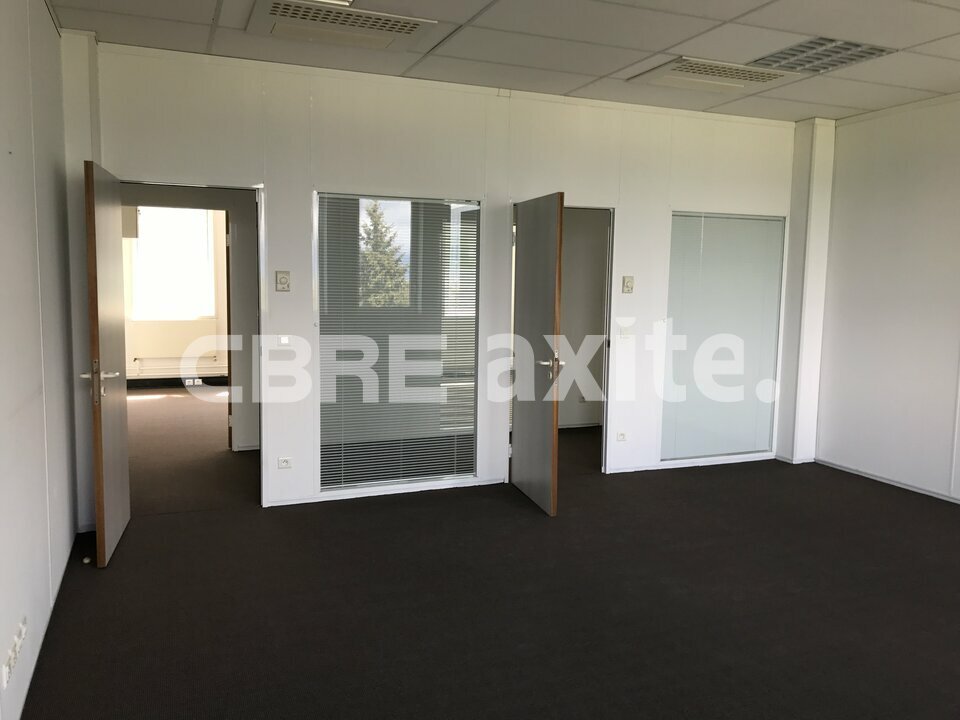 vente local-professionnel ARCHAMPS