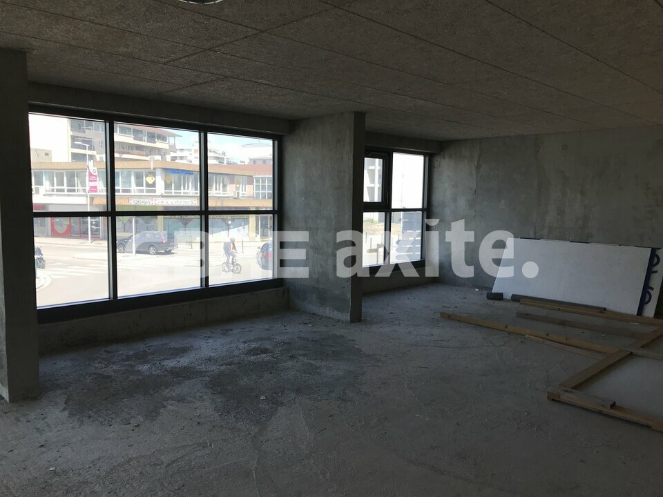 vente local-professionnel ANNEMASSE