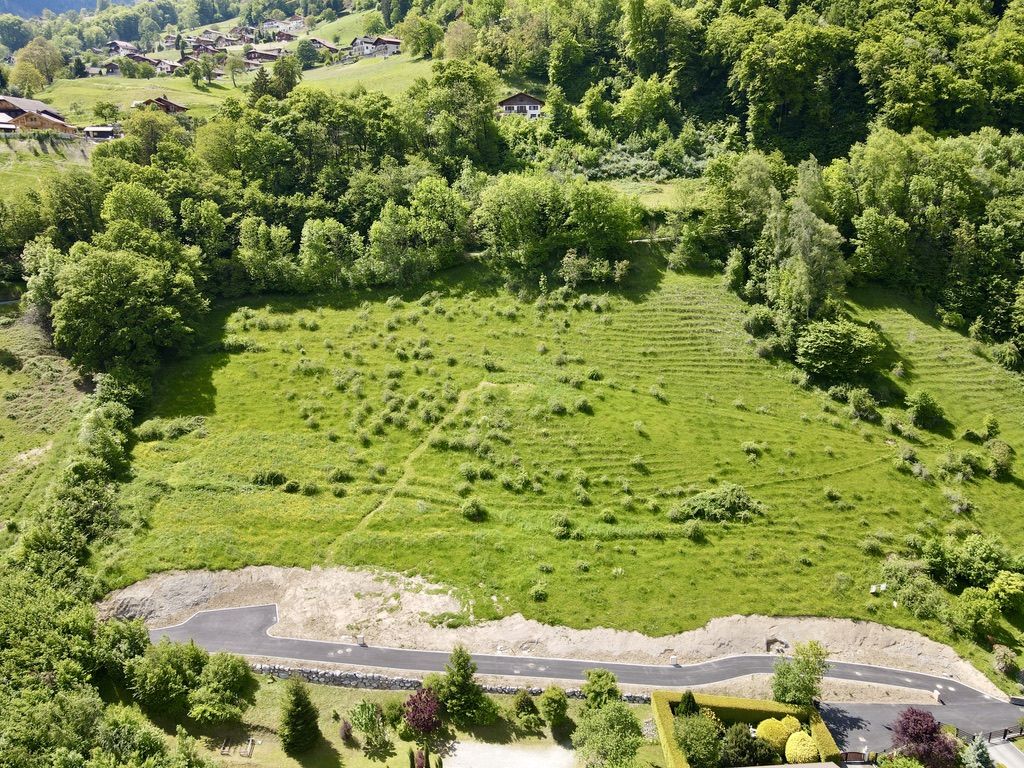 vente terrain 