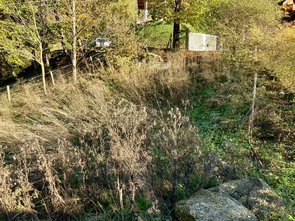 vente terrain 