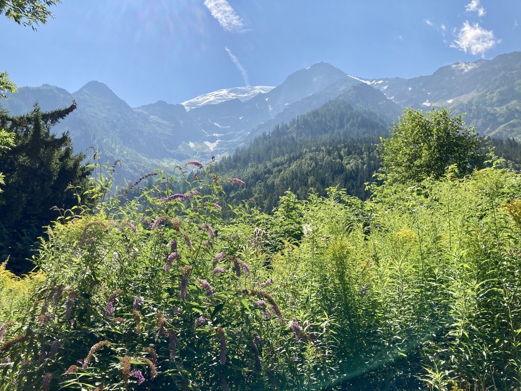 vente terrain 