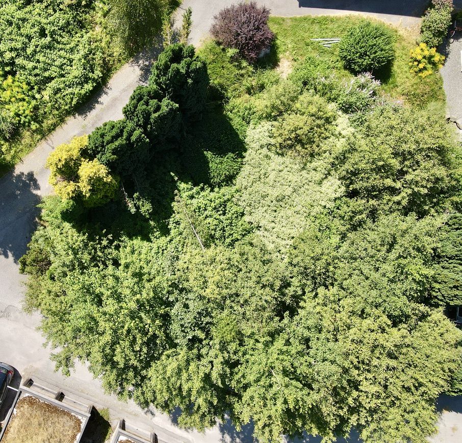 vente terrain 
