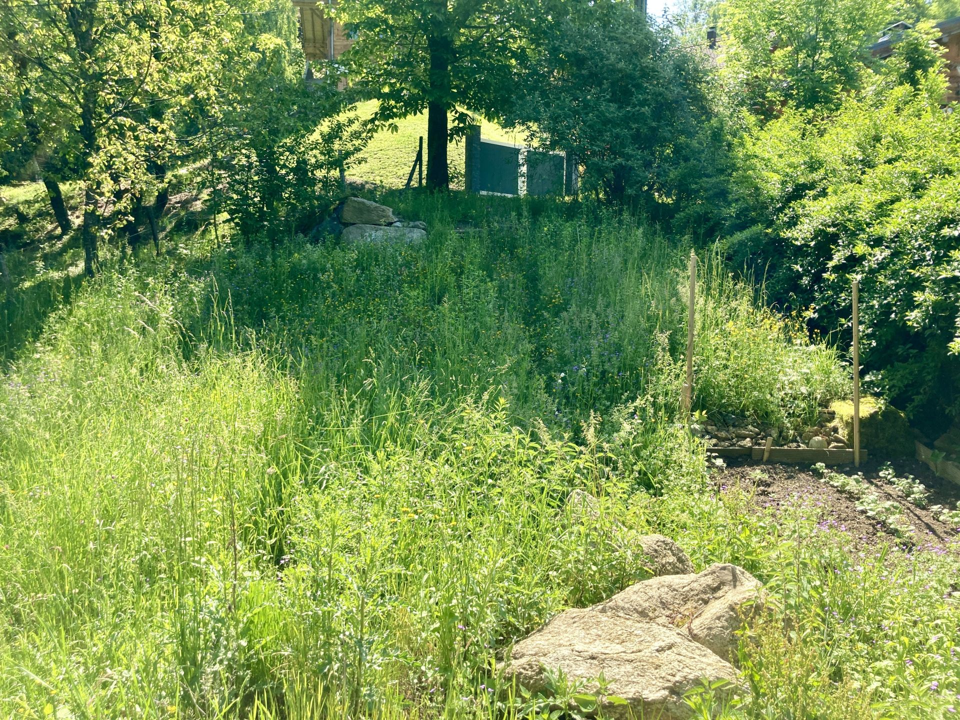 vente terrain 