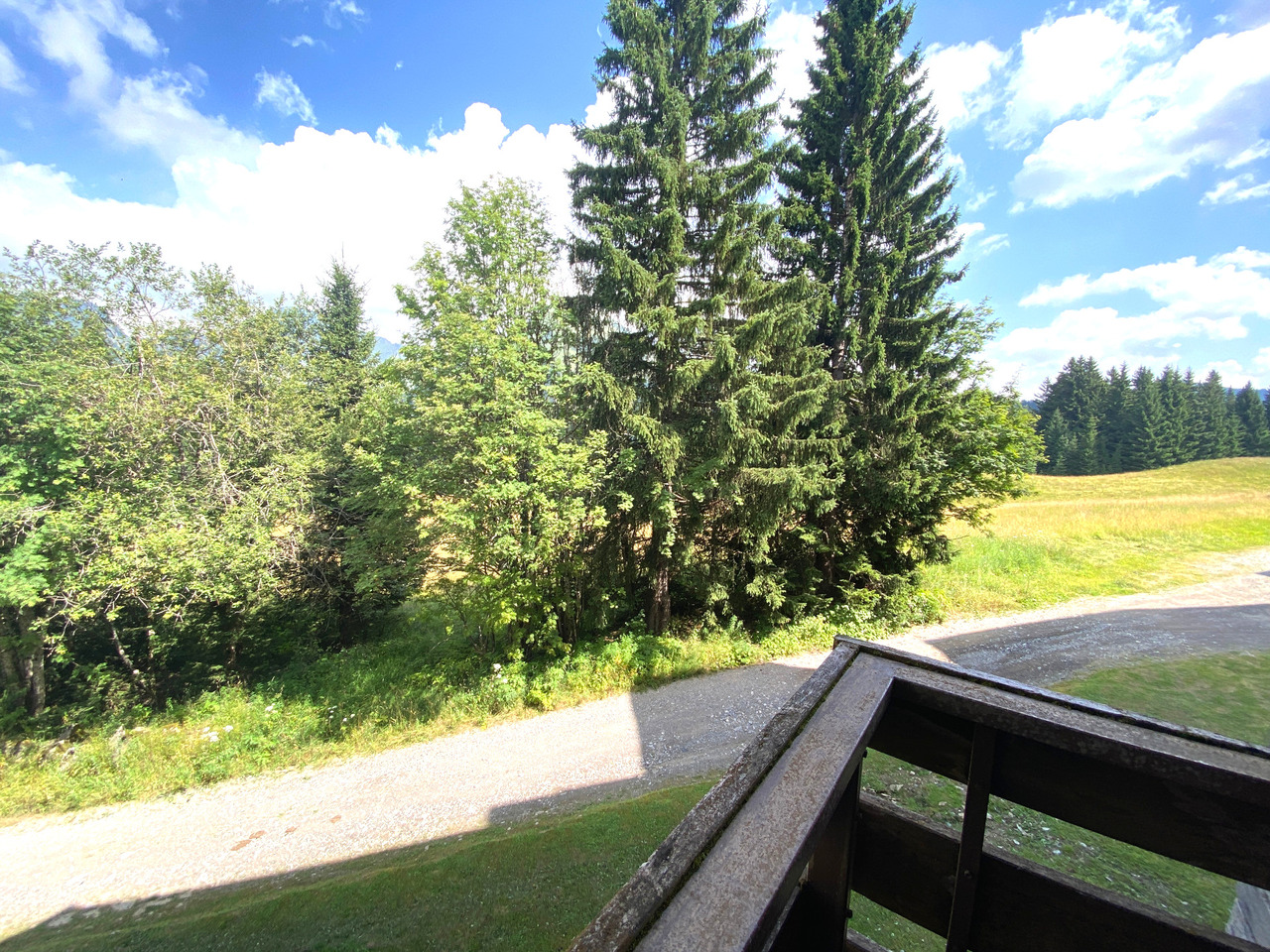 vente appartement LE PRAZ DE LYS