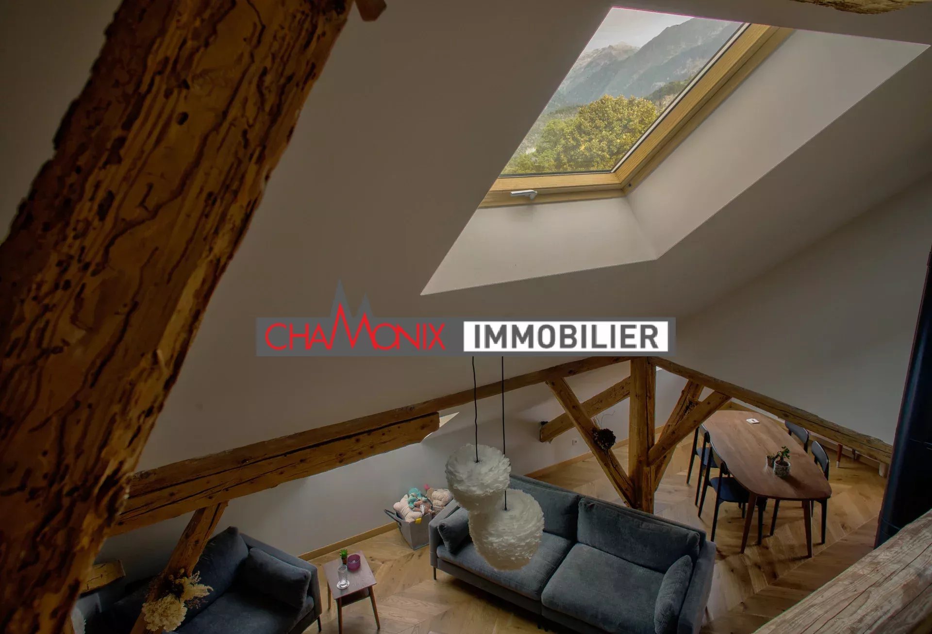 vente appartement PASSY