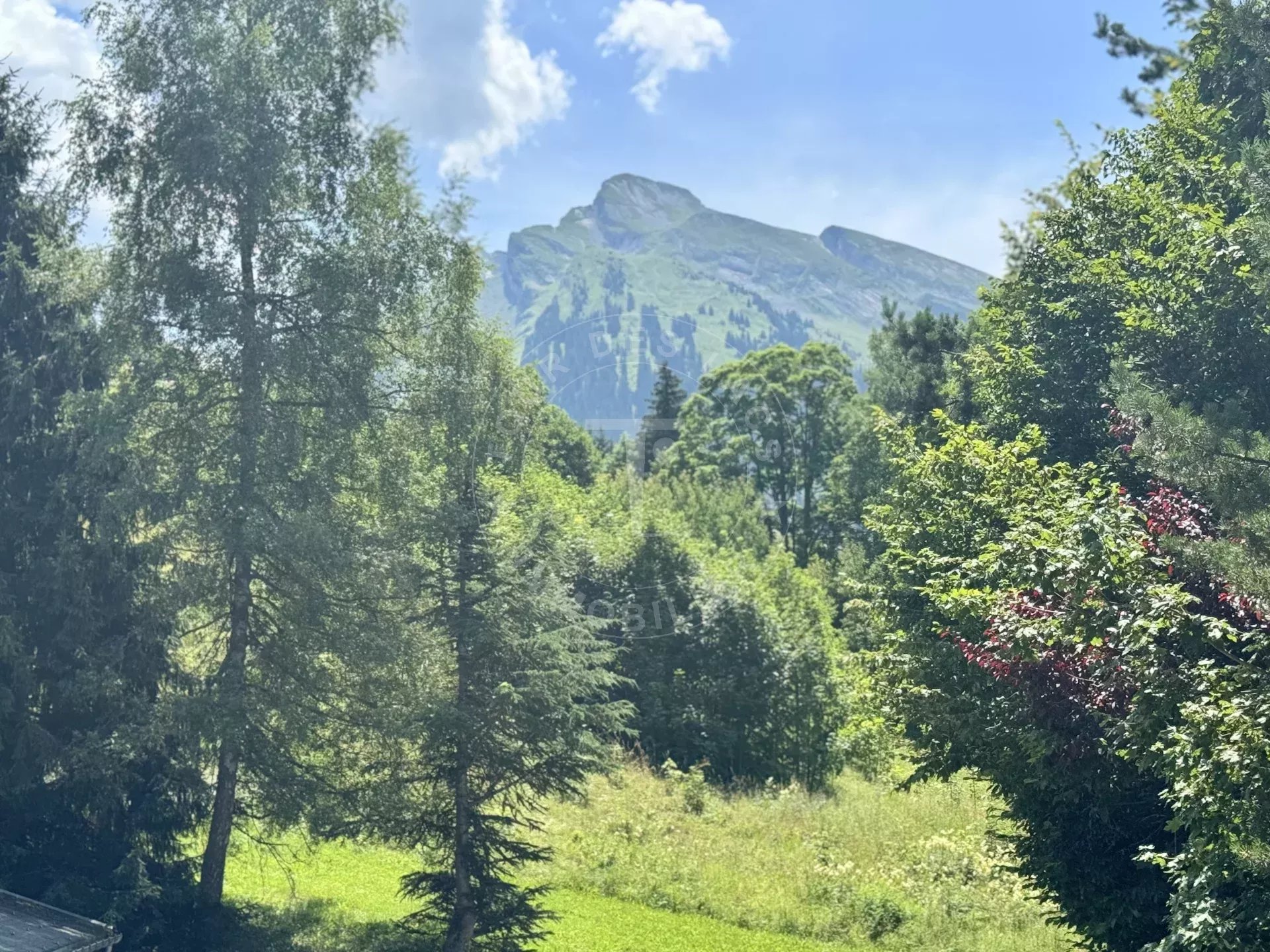 Terrain  - 600 m² LA CLUSAZ