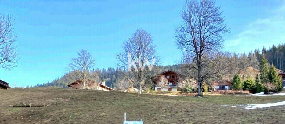 vente terrain 