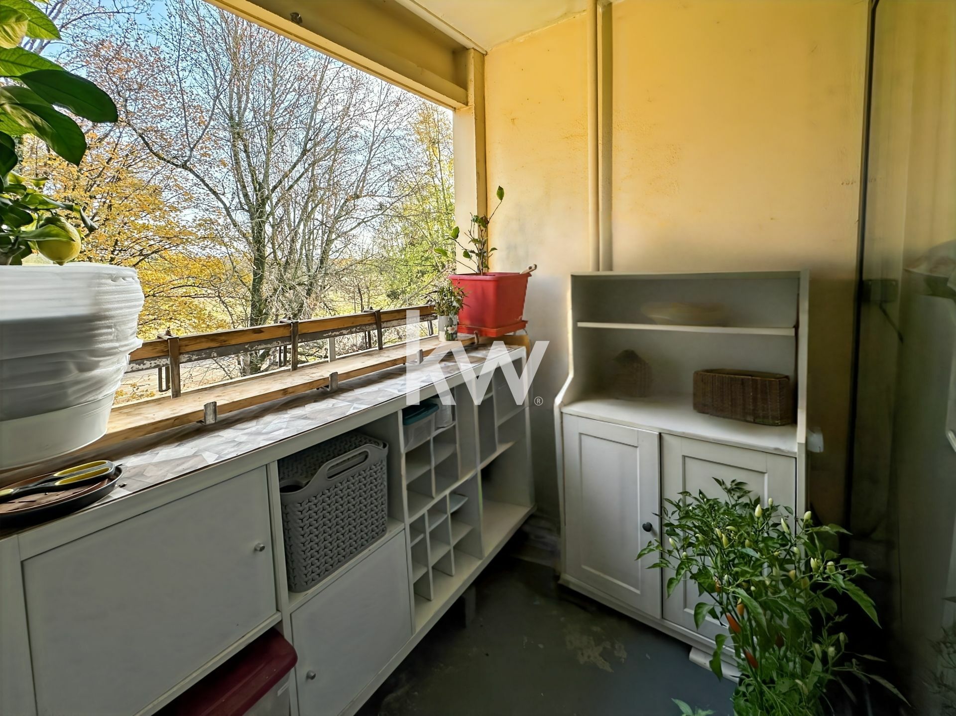 vente appartement 