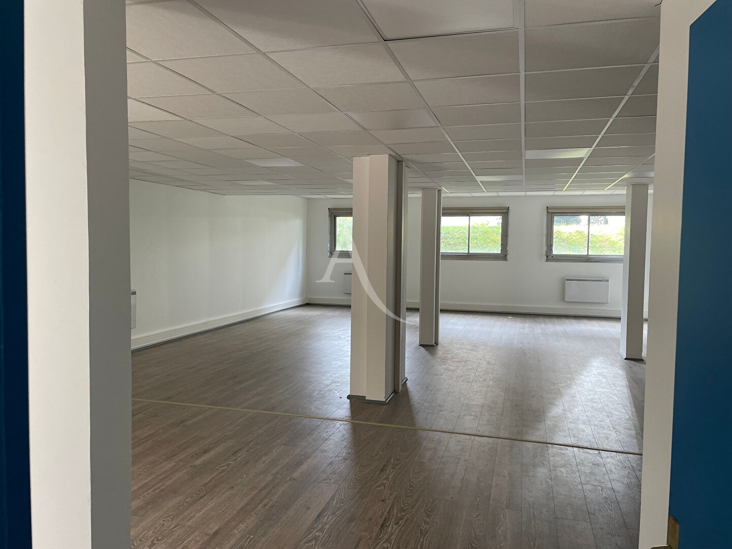 location local-professionnel 