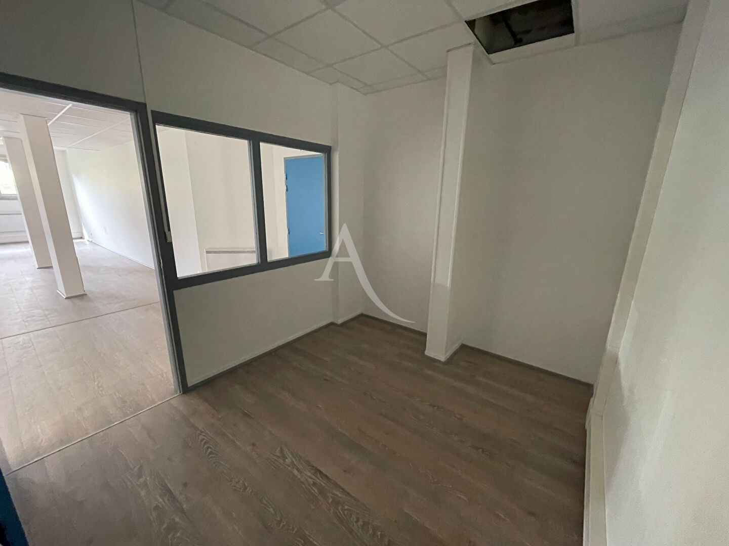 location local-professionnel 