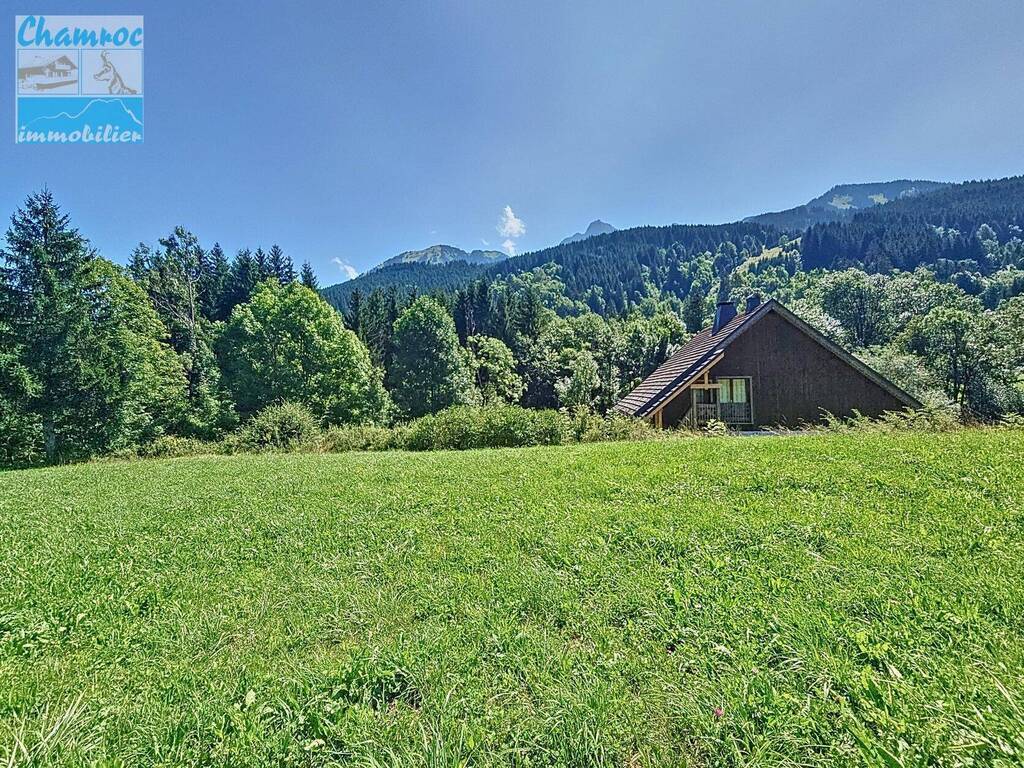 vente terrain ABONDANCE