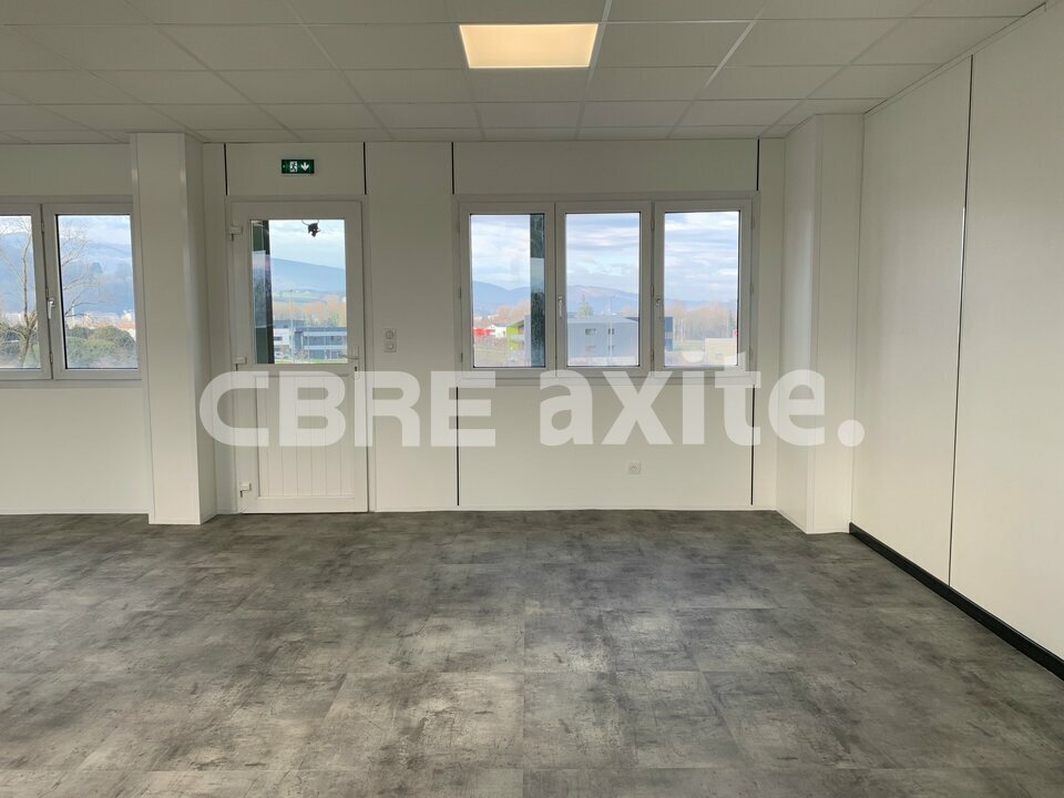 location local-professionnel RUMILLY