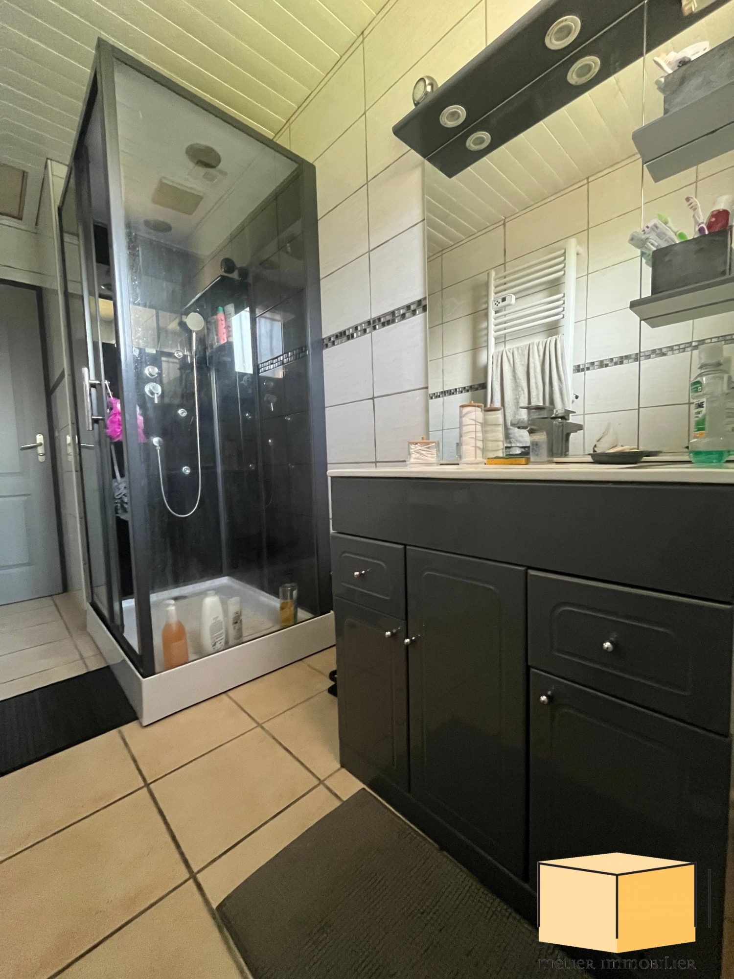 vente maison CULOZ