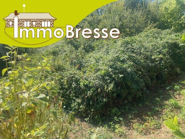 Terrain  MONTREVEL EN BRESSE