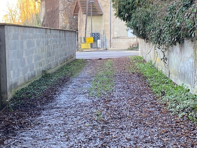 vente terrain MONTREVEL EN BRESSE