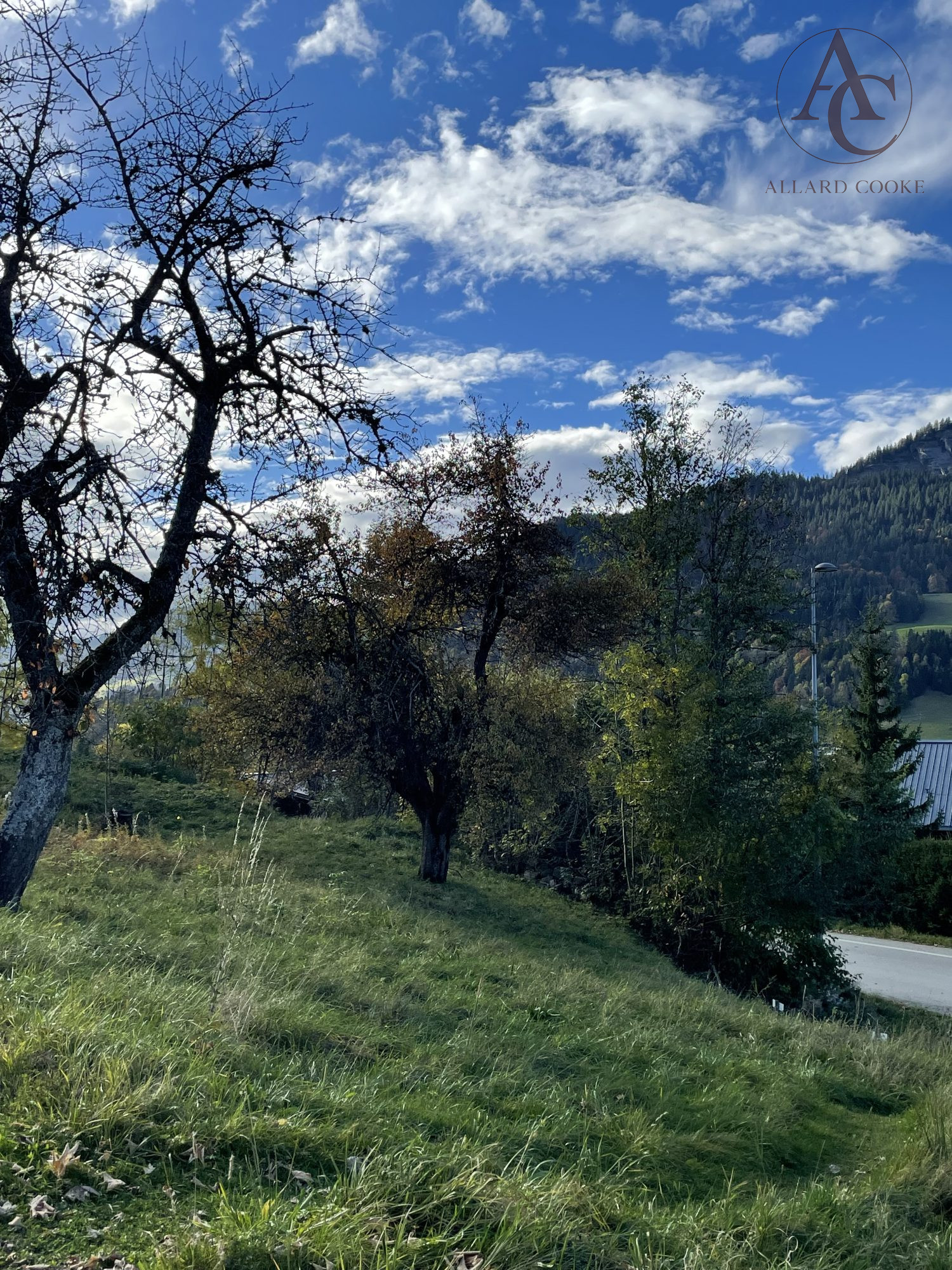vente terrain MEGEVE