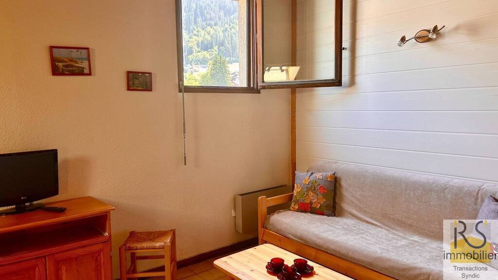 vente appartement LES CARROZ D ARACHES