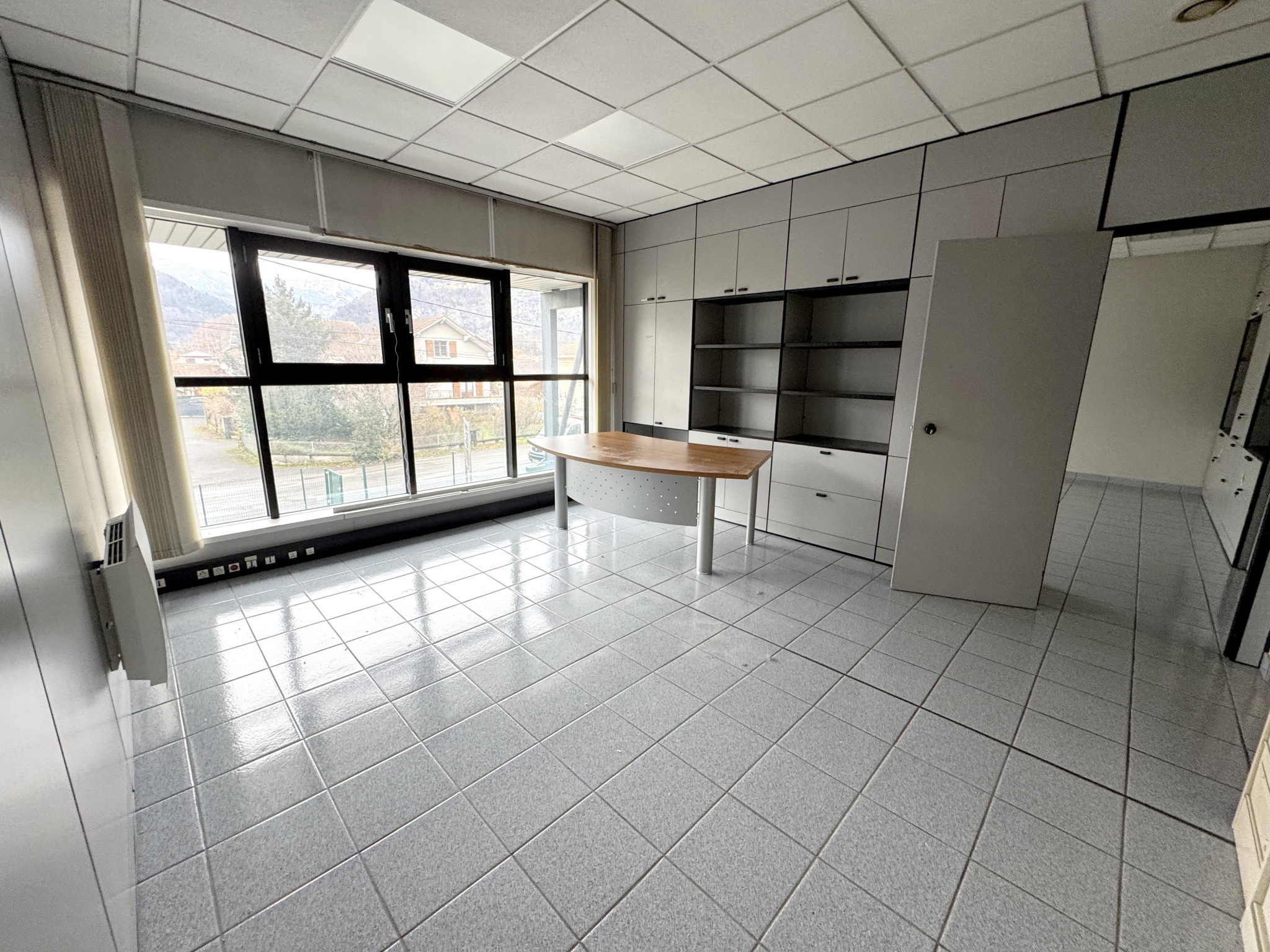 vente local-professionnel SCIONZIER