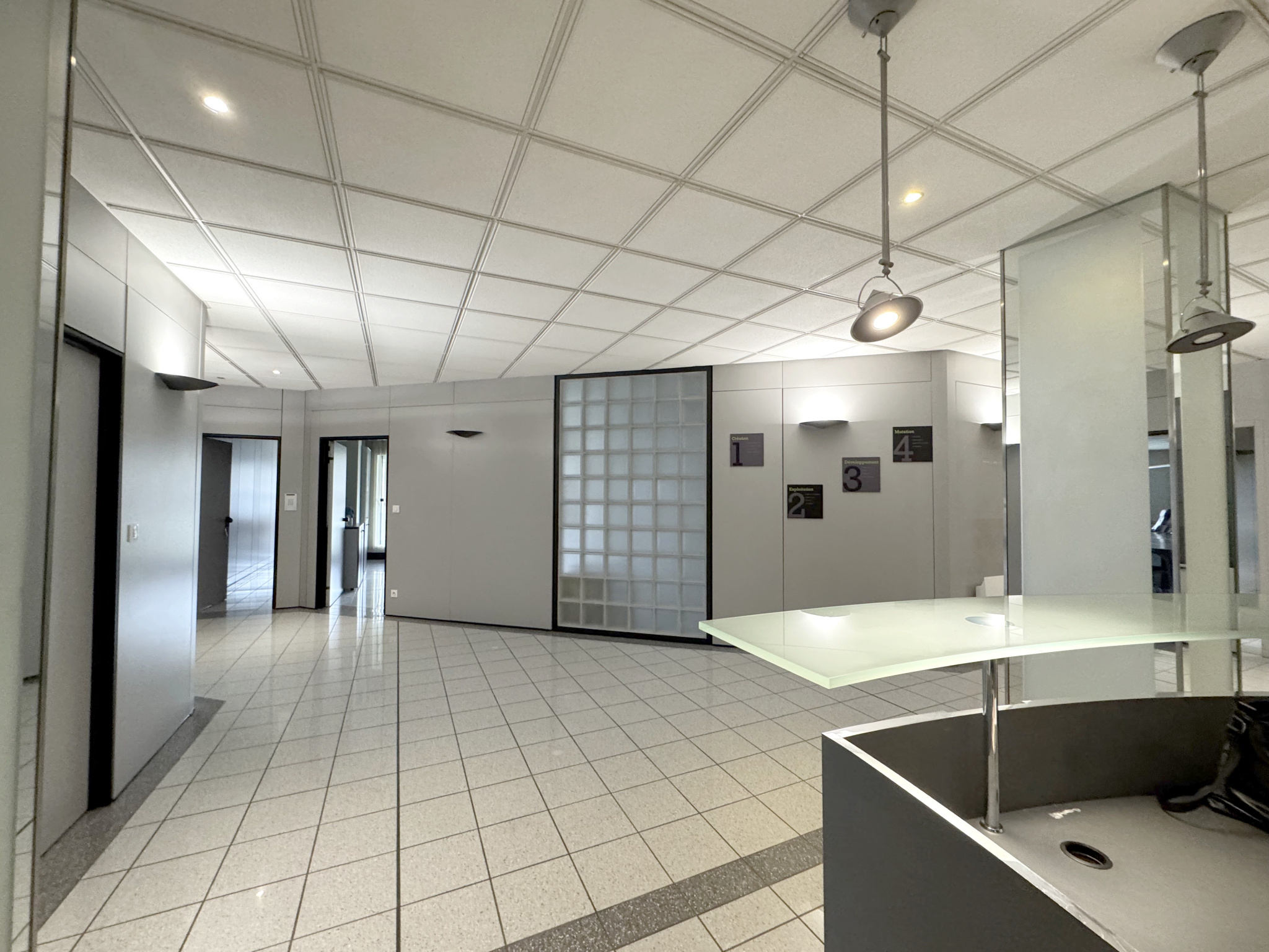 vente local-professionnel SCIONZIER