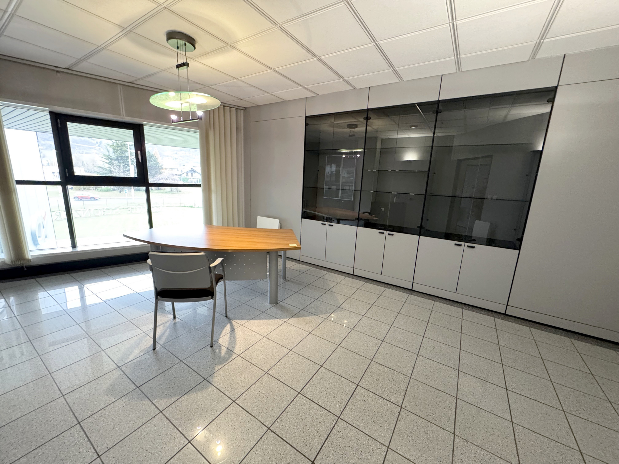 vente local-professionnel SCIONZIER