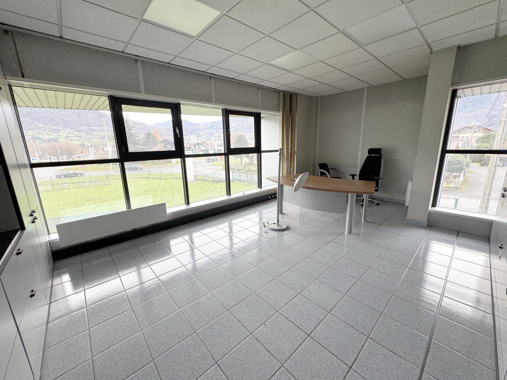 vente local-professionnel SCIONZIER