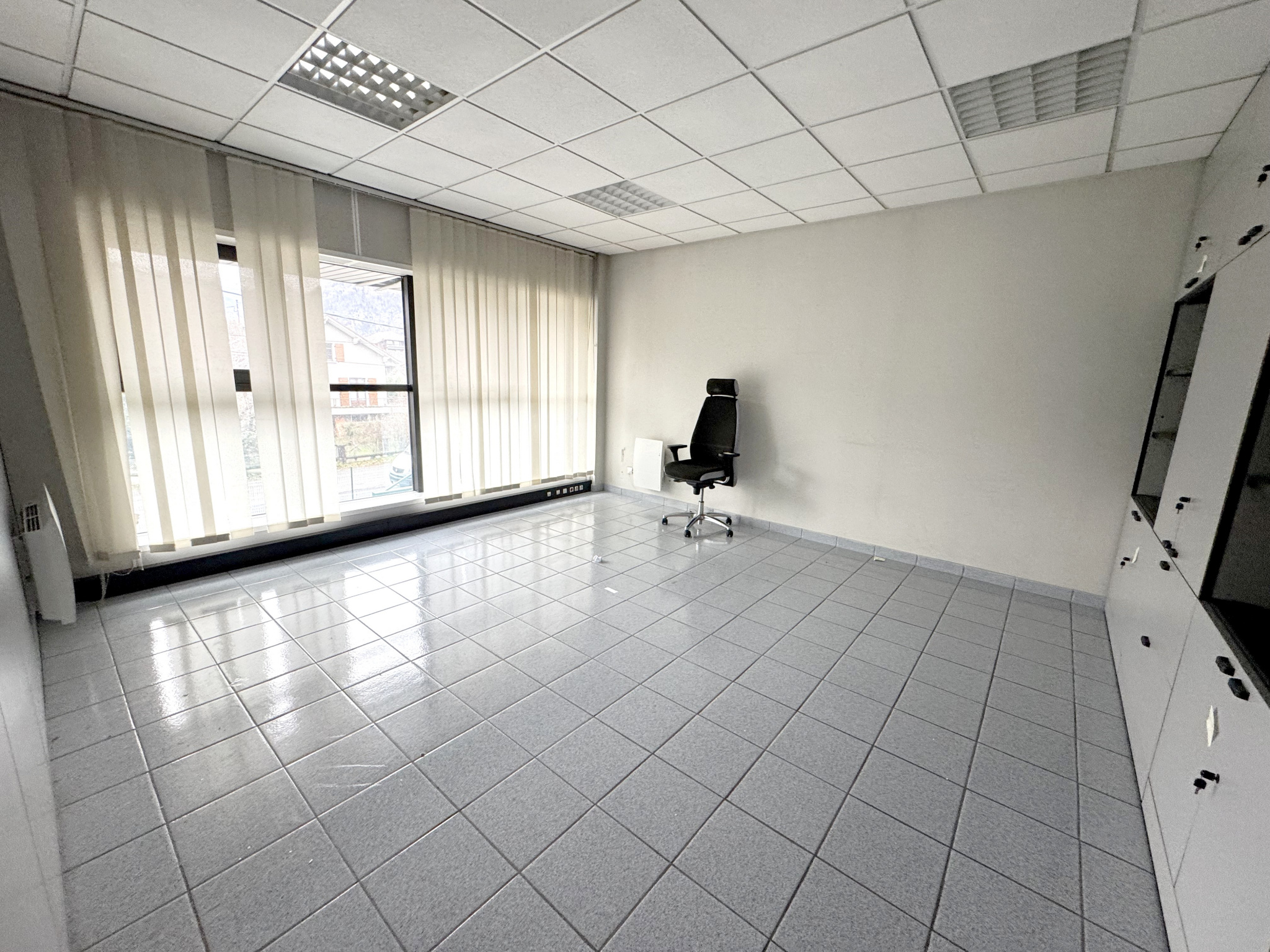 vente local-professionnel SCIONZIER