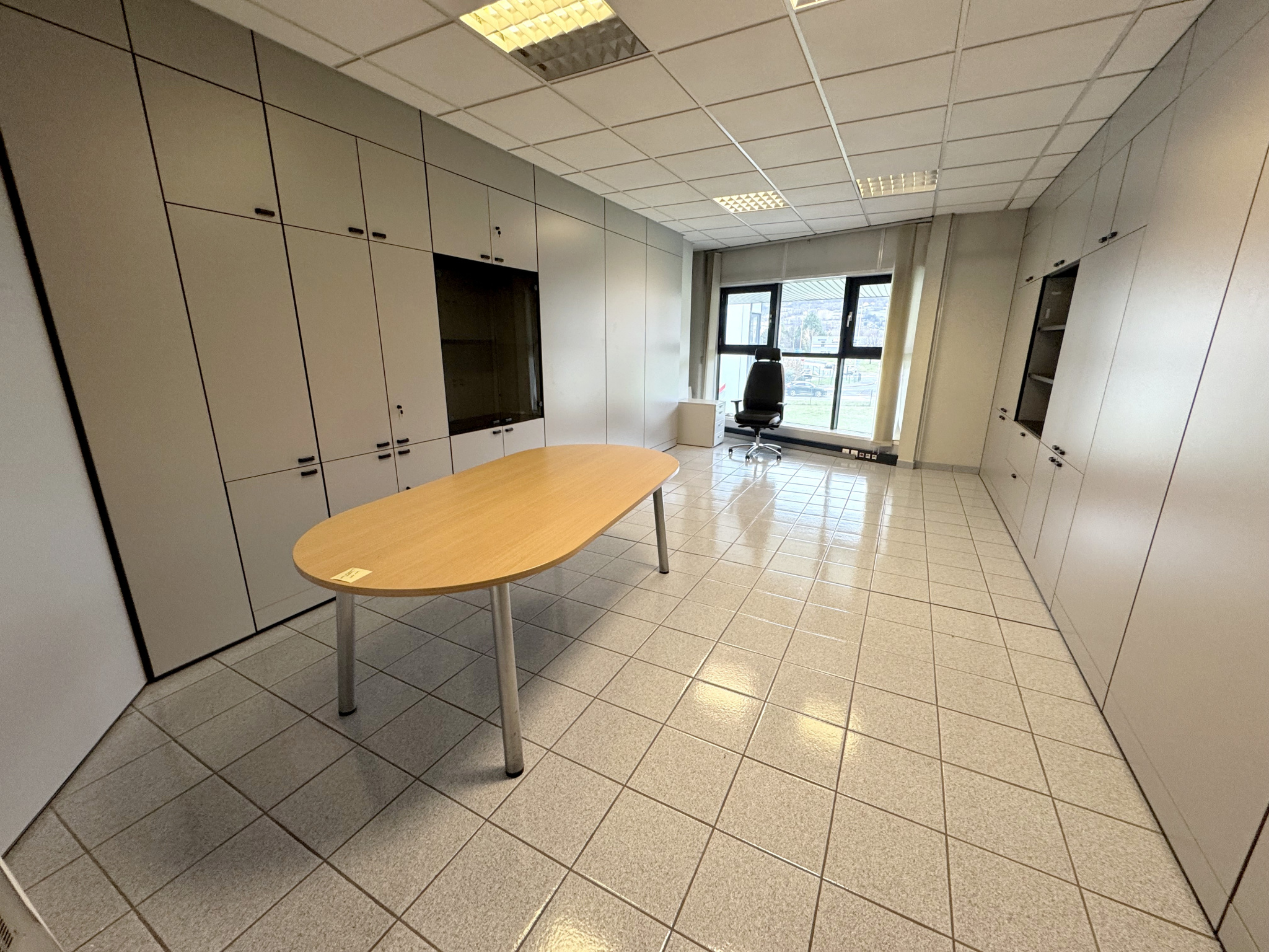 vente local-professionnel SCIONZIER