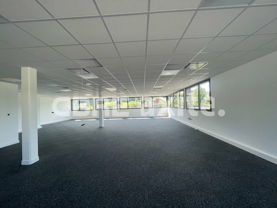 location local-professionnel CHAVANOD