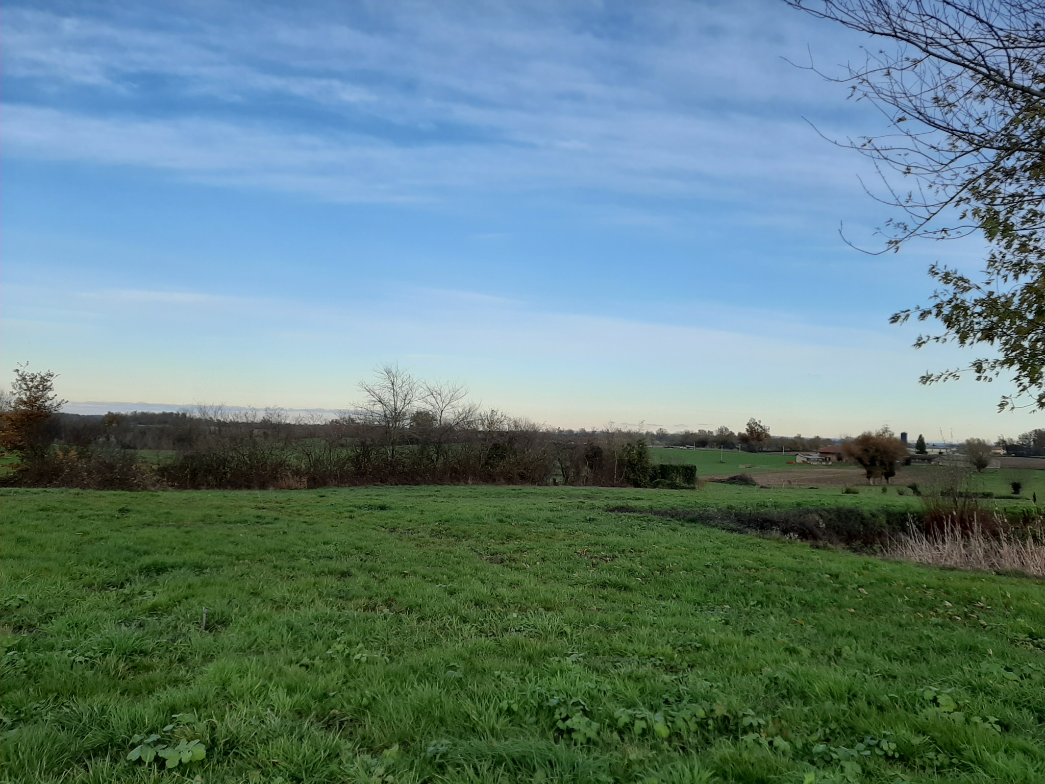 vente terrain BAGE LA VILLE