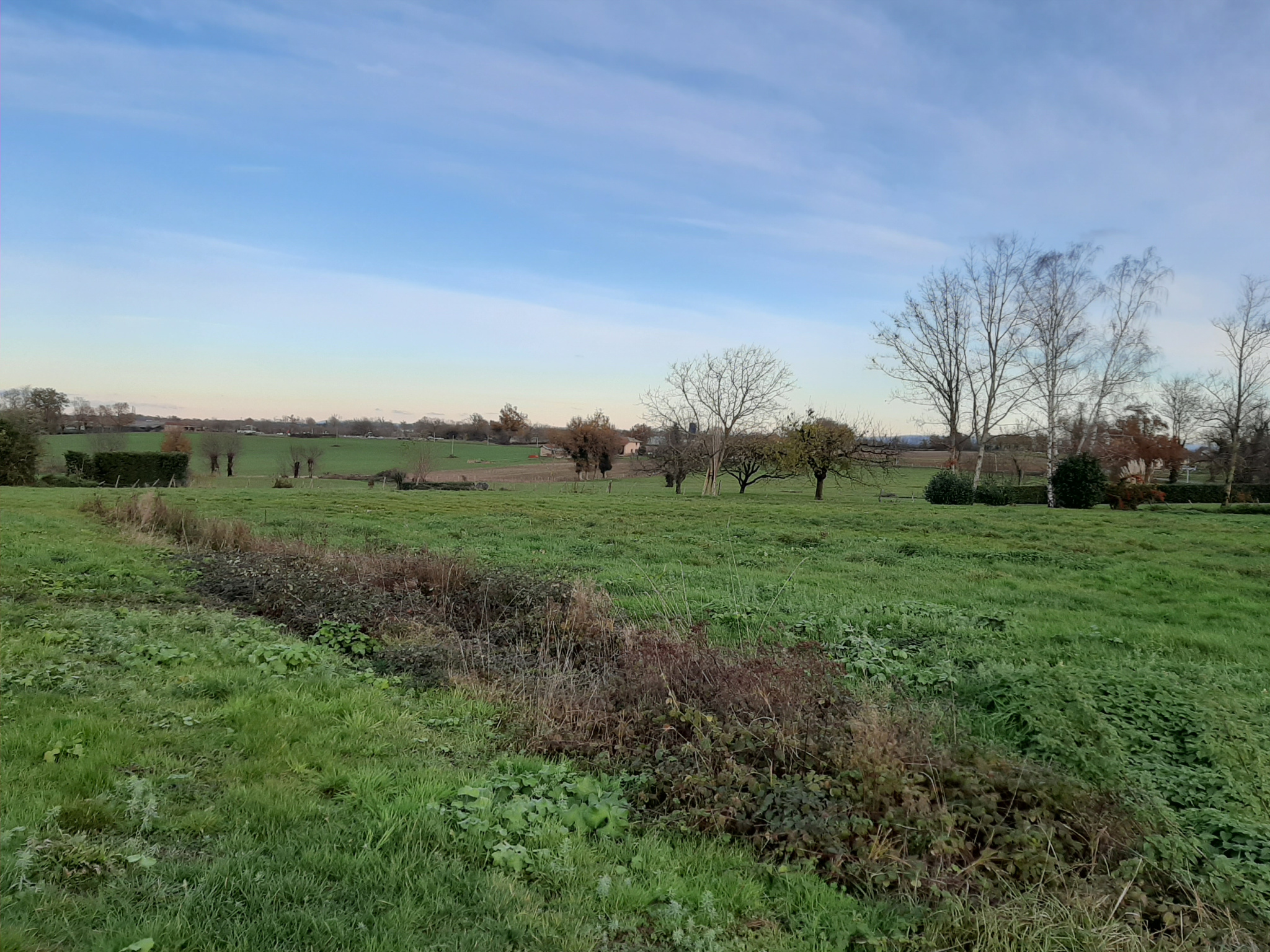 vente terrain BAGE LA VILLE