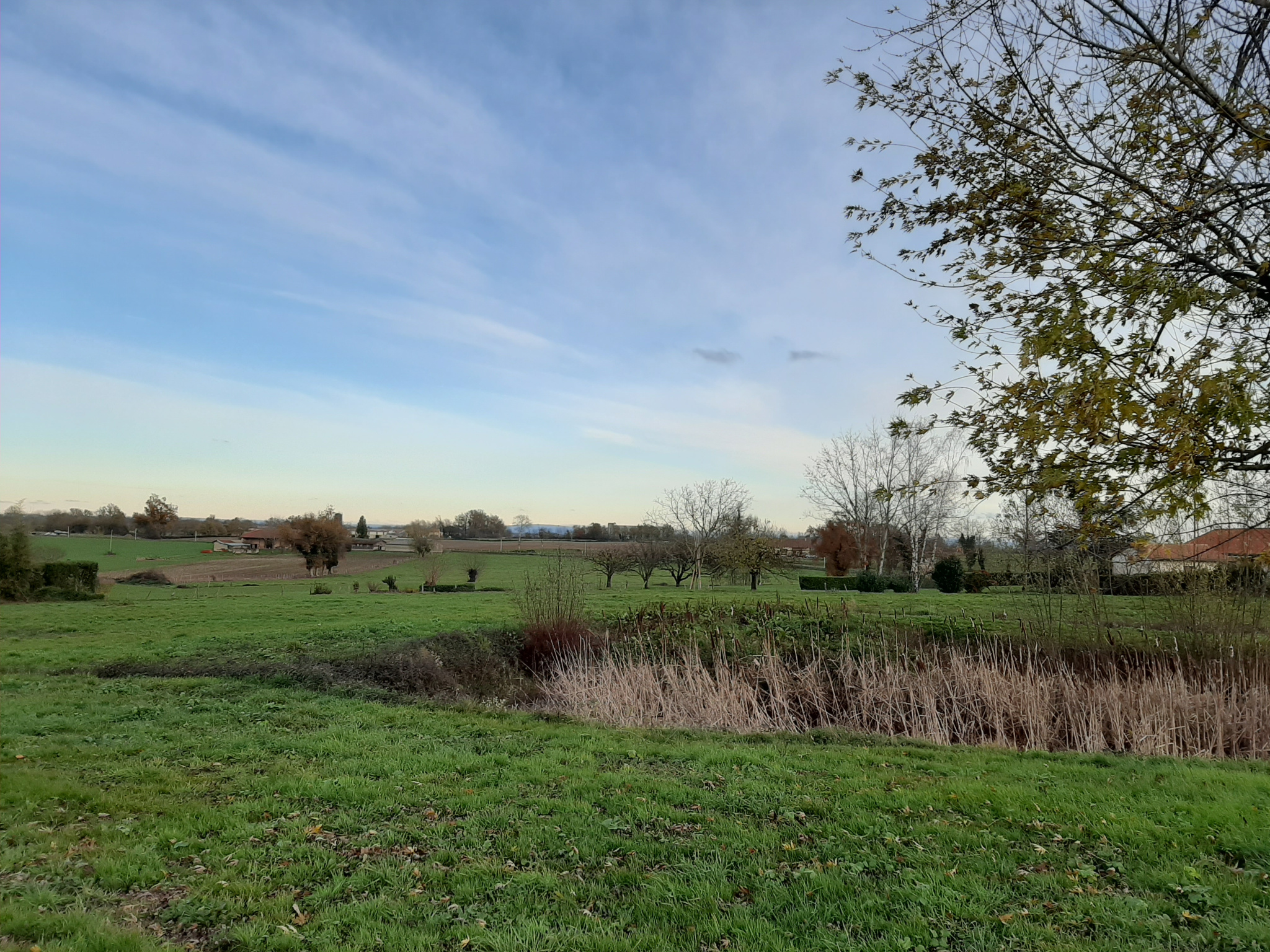 vente terrain BAGE LA VILLE