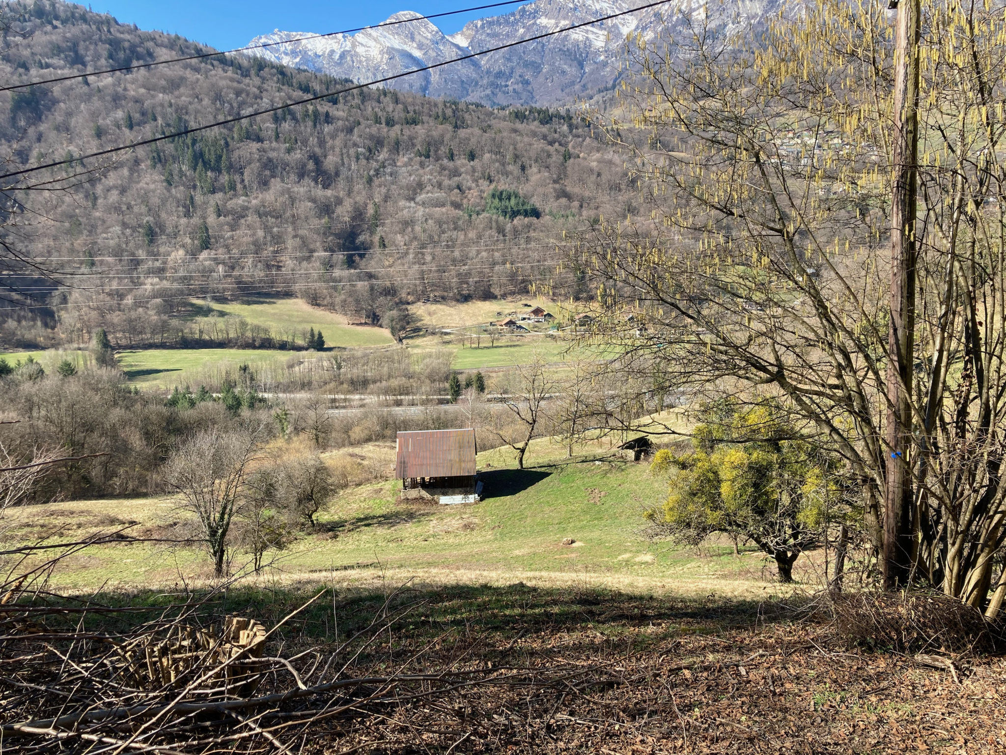 Terrain  - 1090 m² CESARCHES