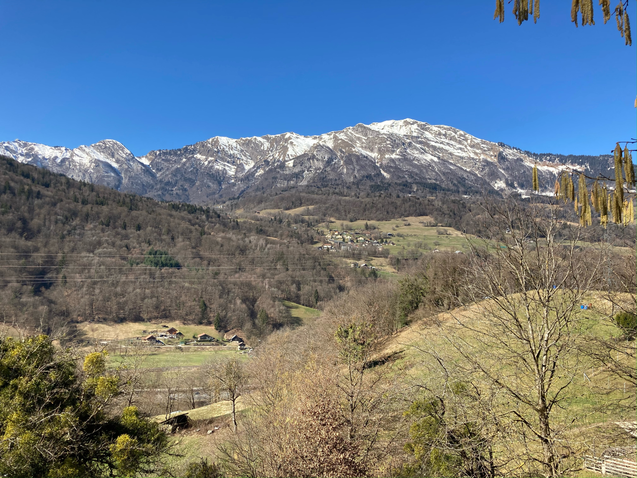 vente terrain CESARCHES