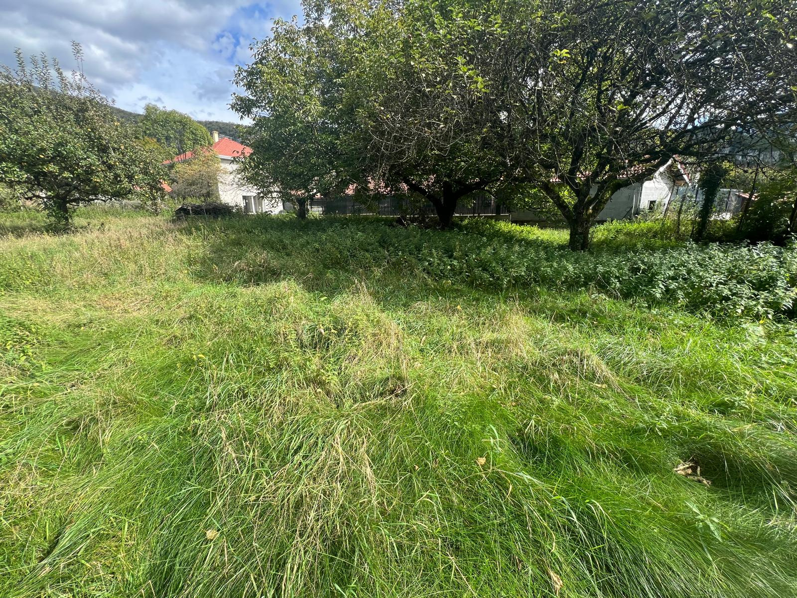vente terrain ST CHRISTOPHE