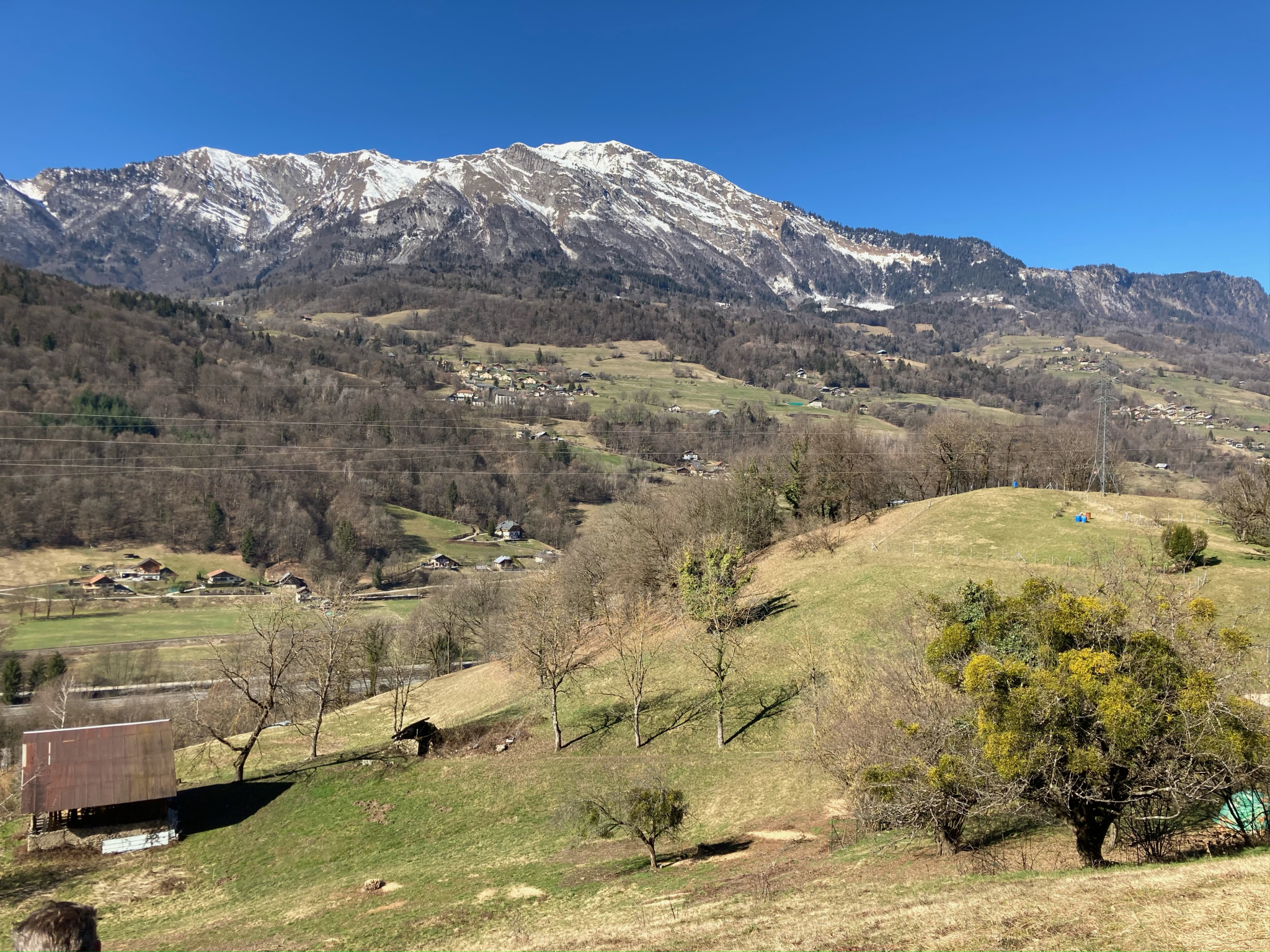 vente terrain CESARCHES