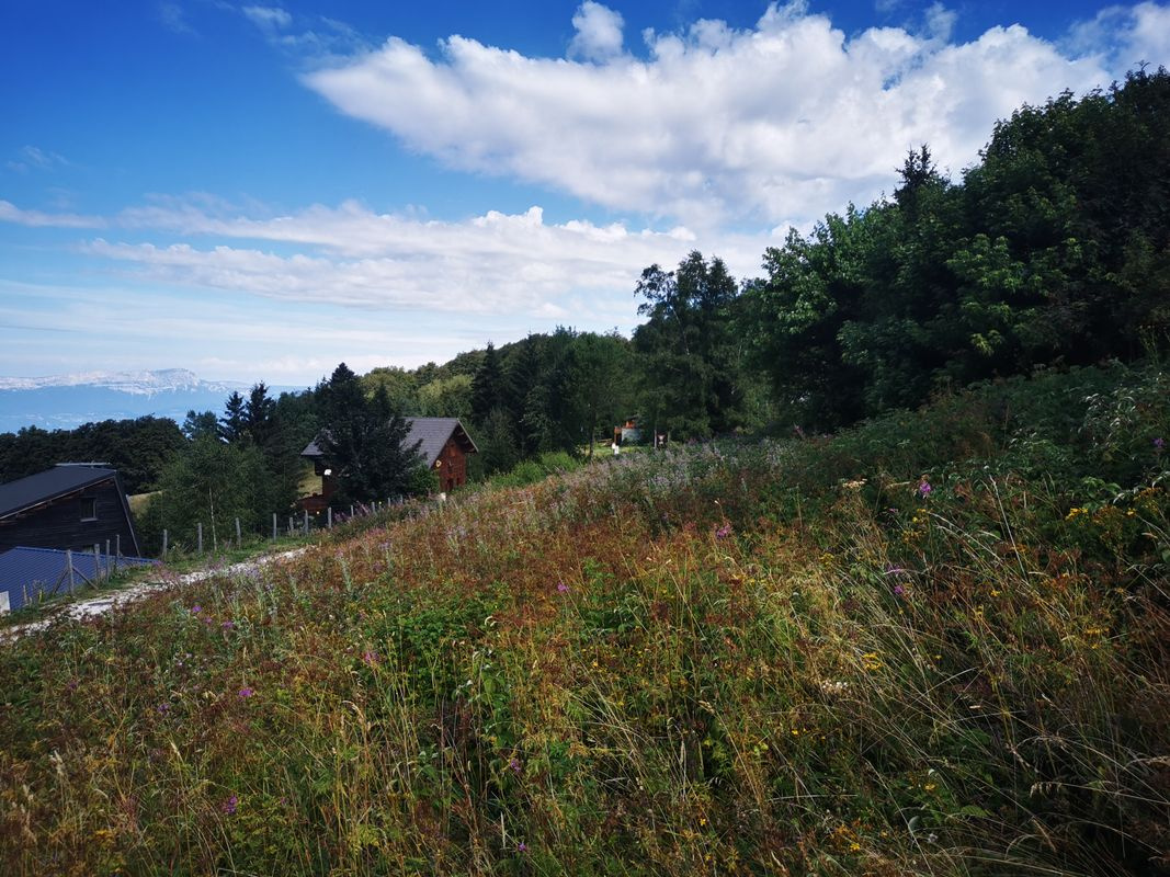 vente terrain LA MORTE