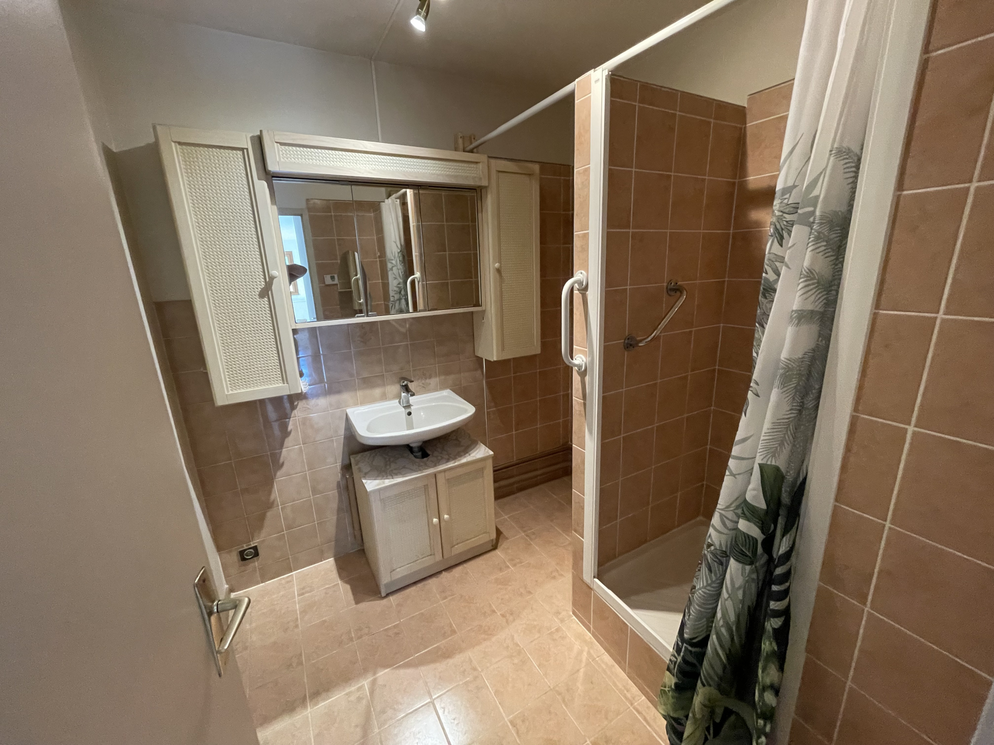 vente appartement SEYSSEL