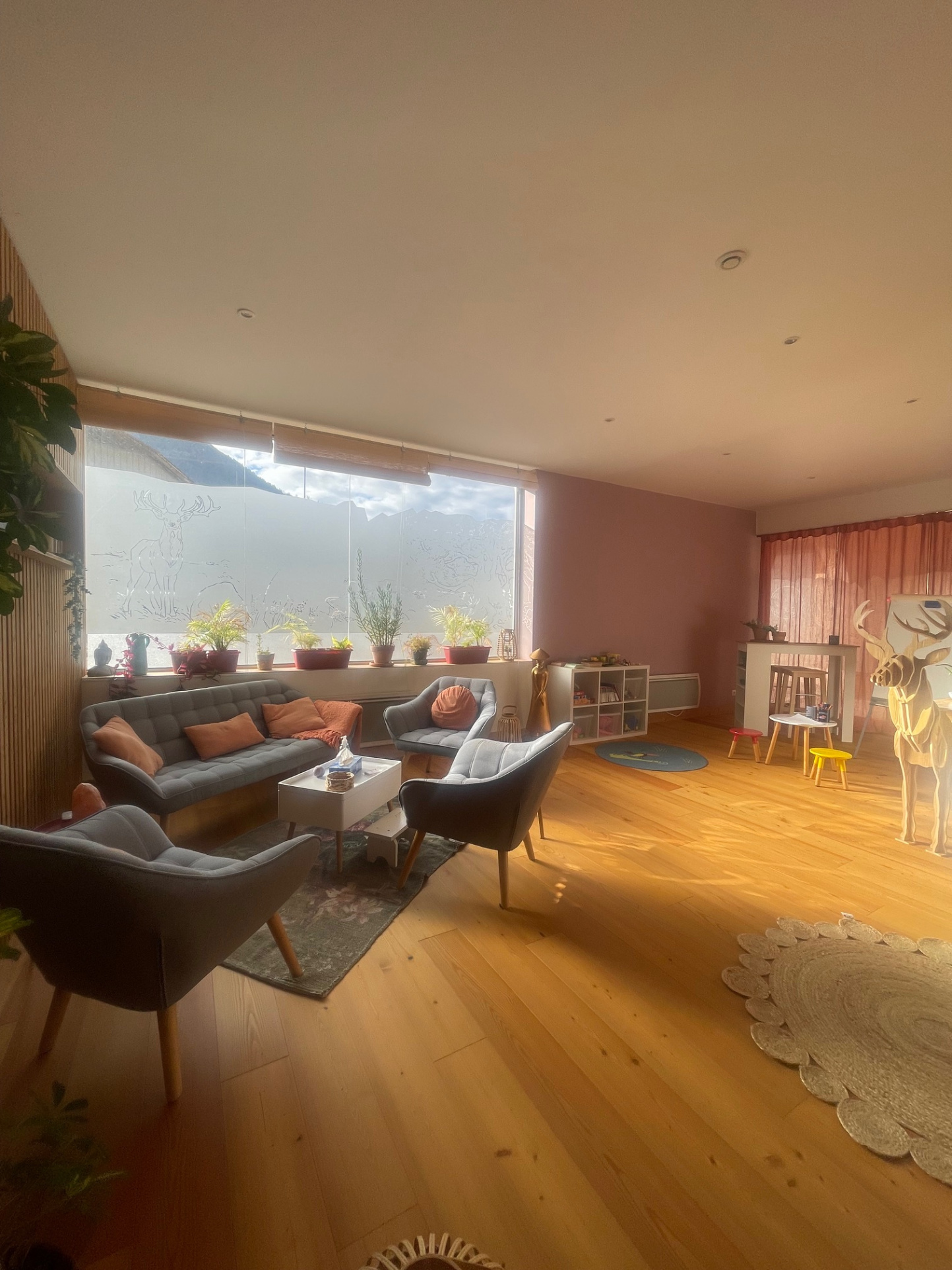 vente local-commercial FAVERGES SEYTHENEX