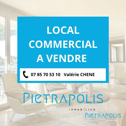 Local commercial  ST TRIVIER SUR MOIGNANS