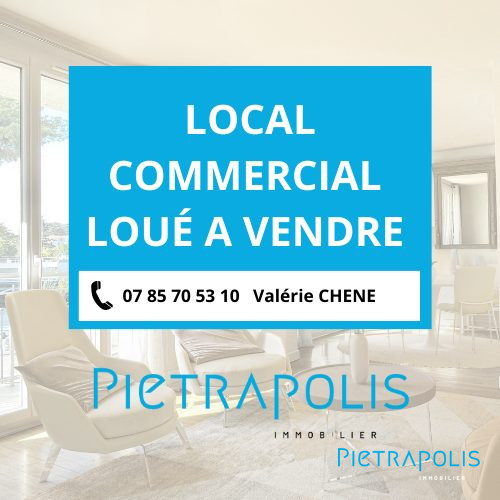 vente local-commercial ST TRIVIER SUR MOIGNANS