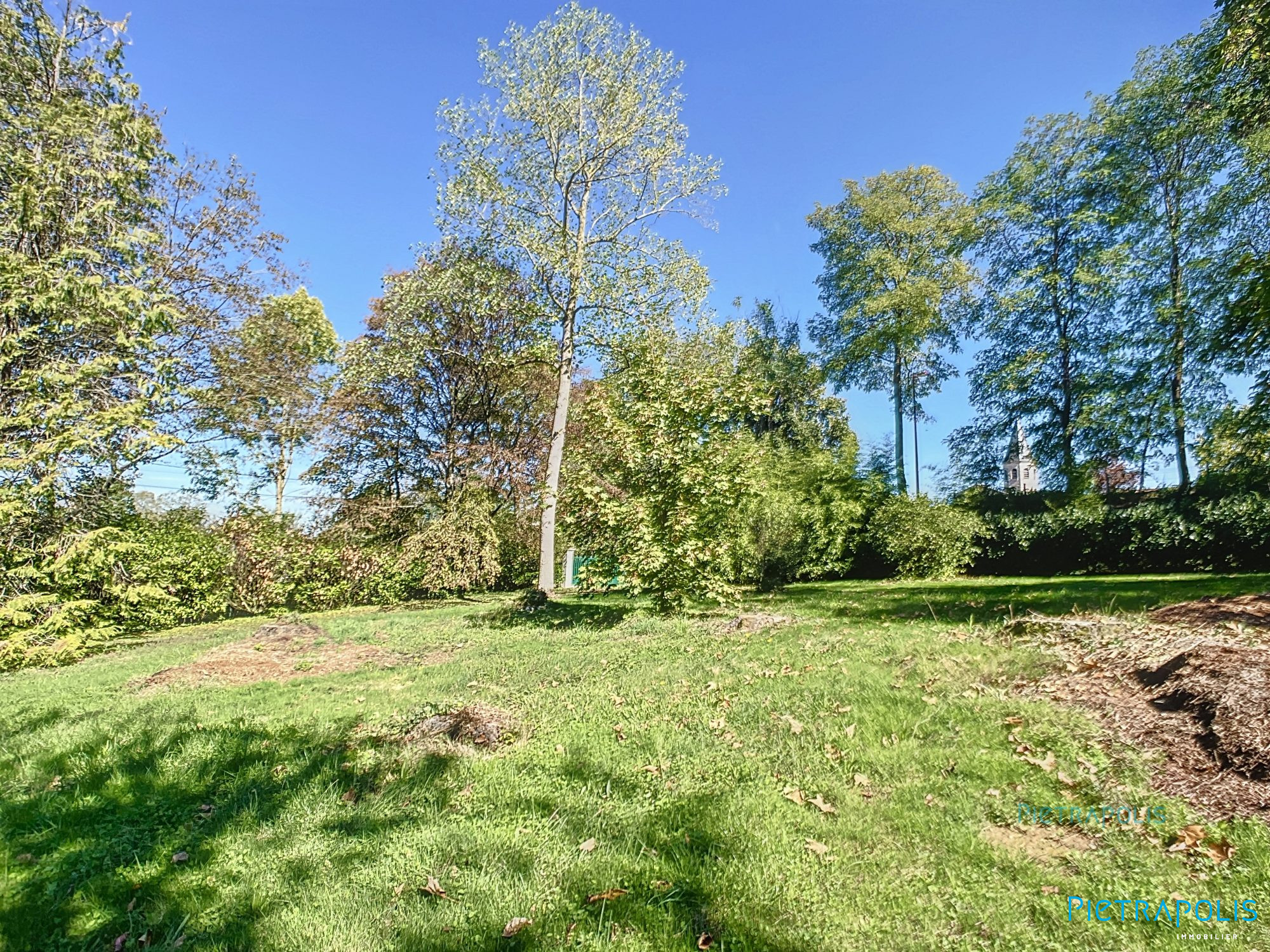 vente terrain CHANOZ CHATENAY