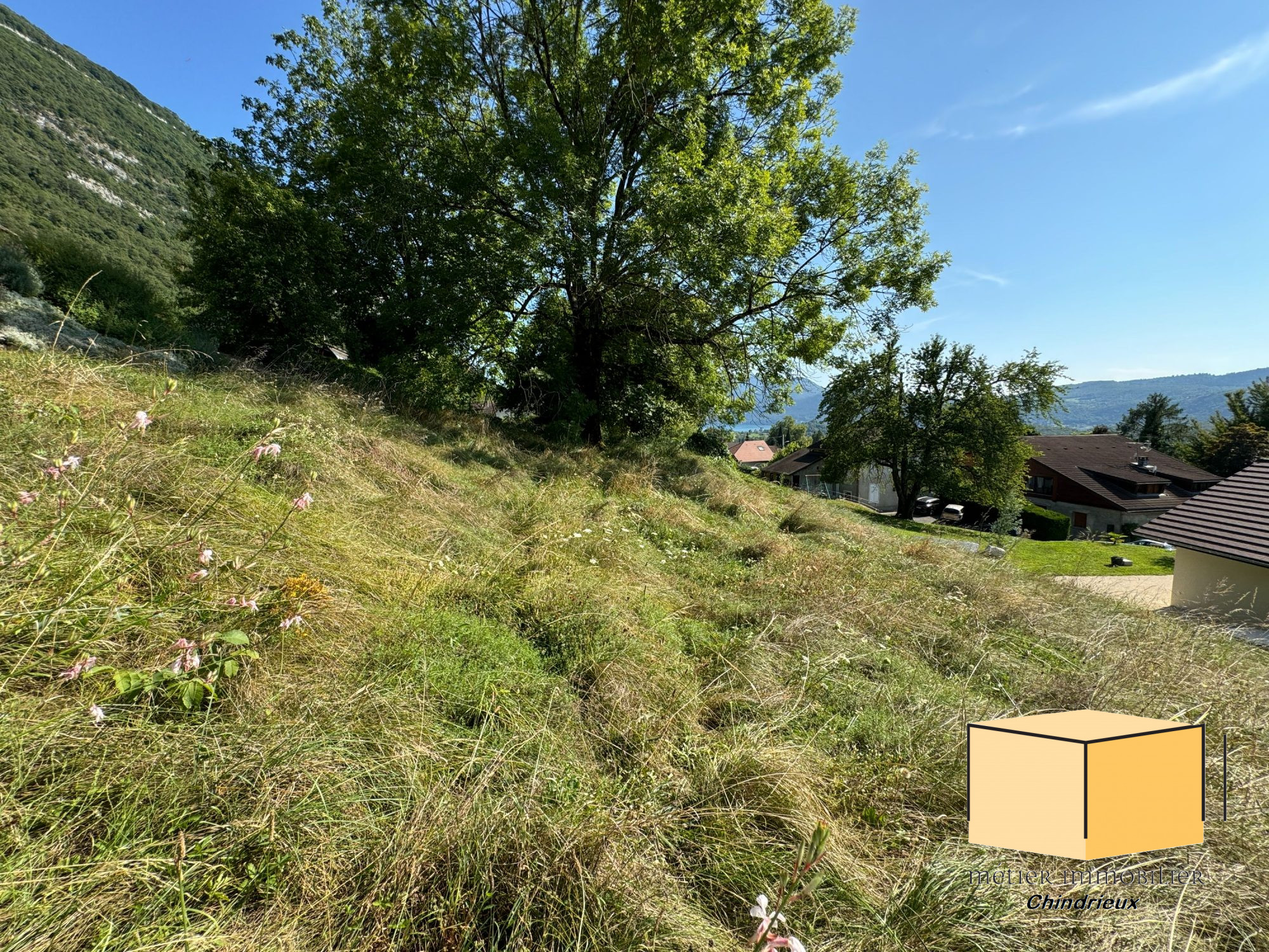 vente terrain CHINDRIEUX