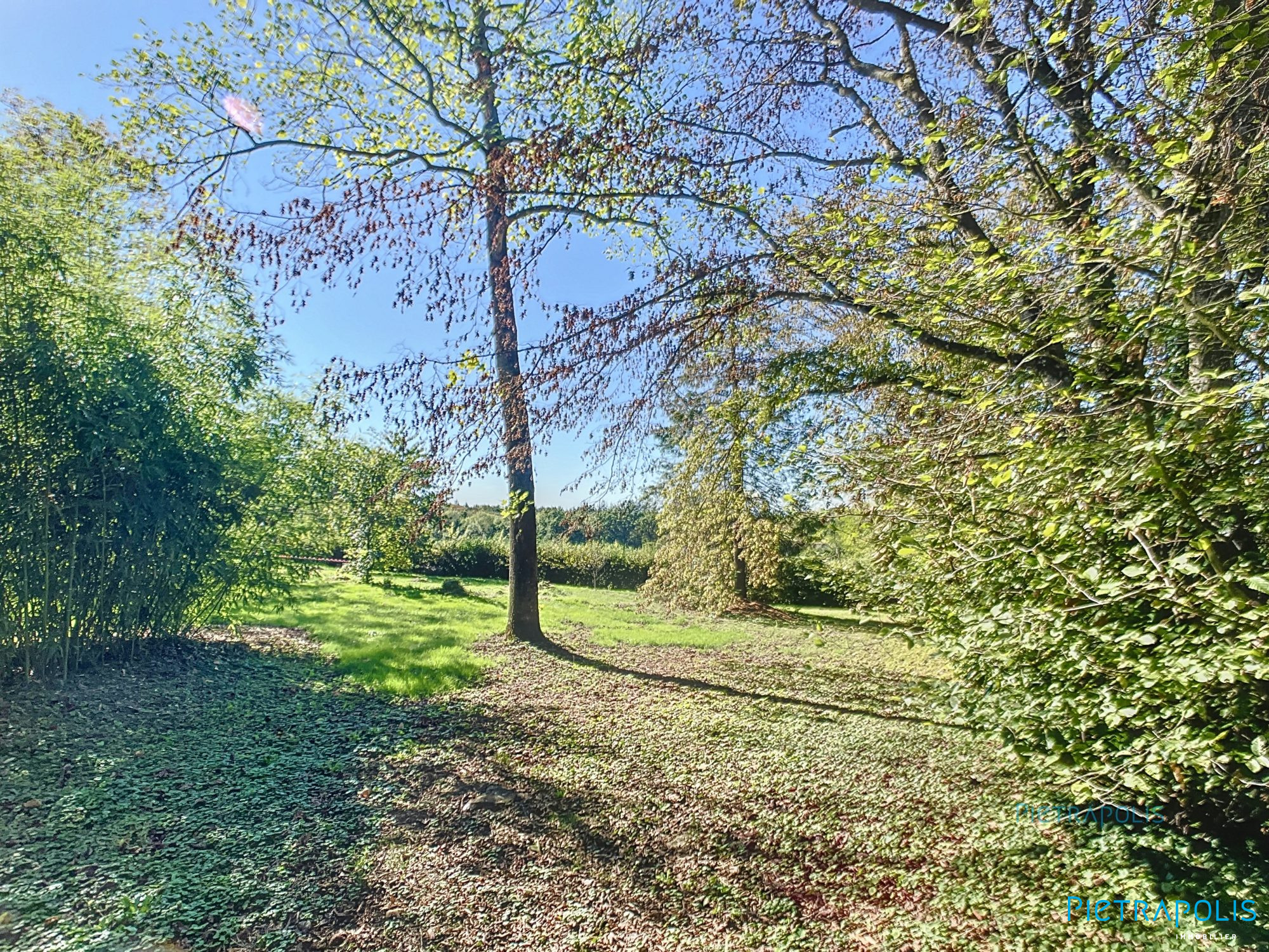 vente terrain CHANOZ CHATENAY