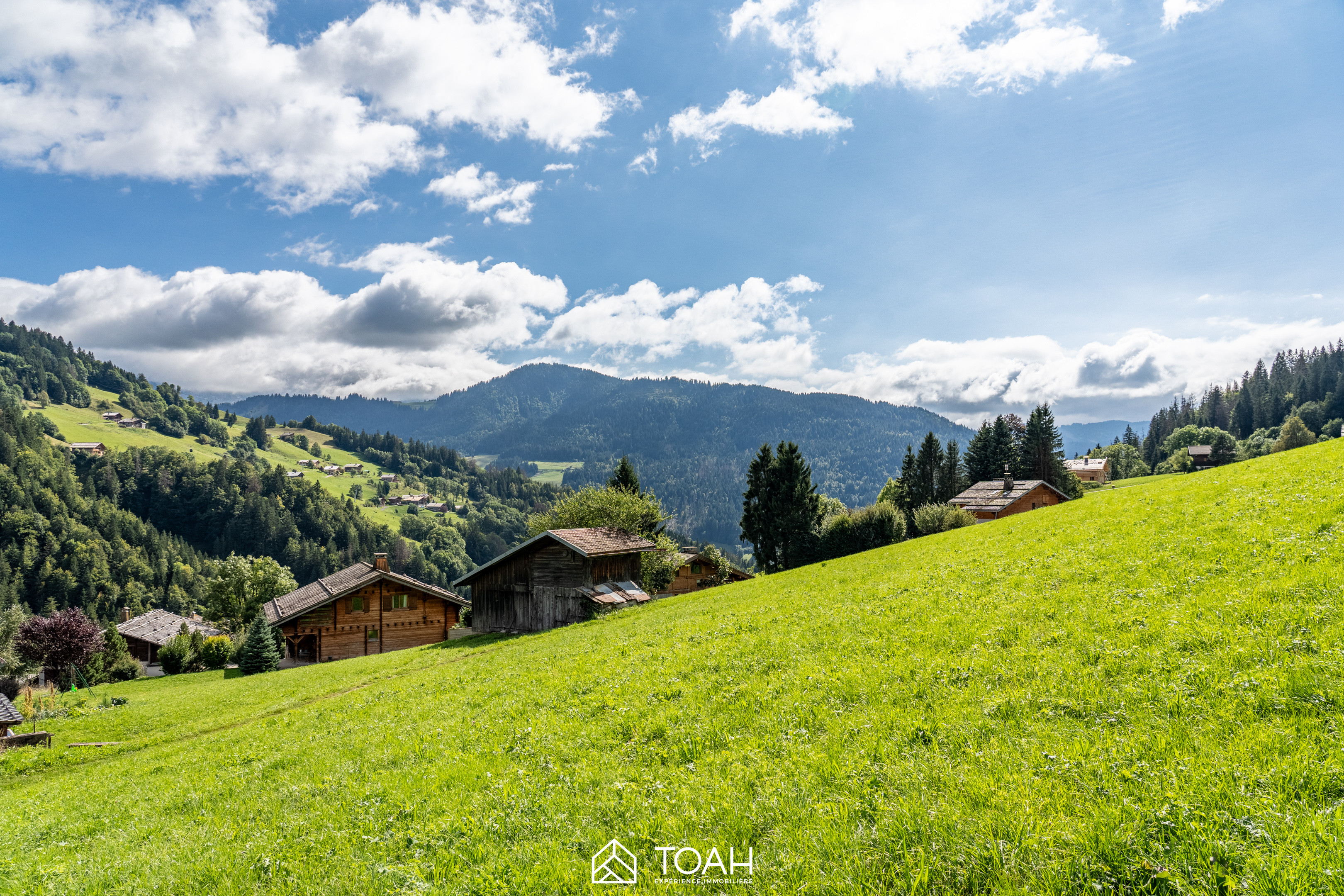 vente terrain LE GRAND BORNAND