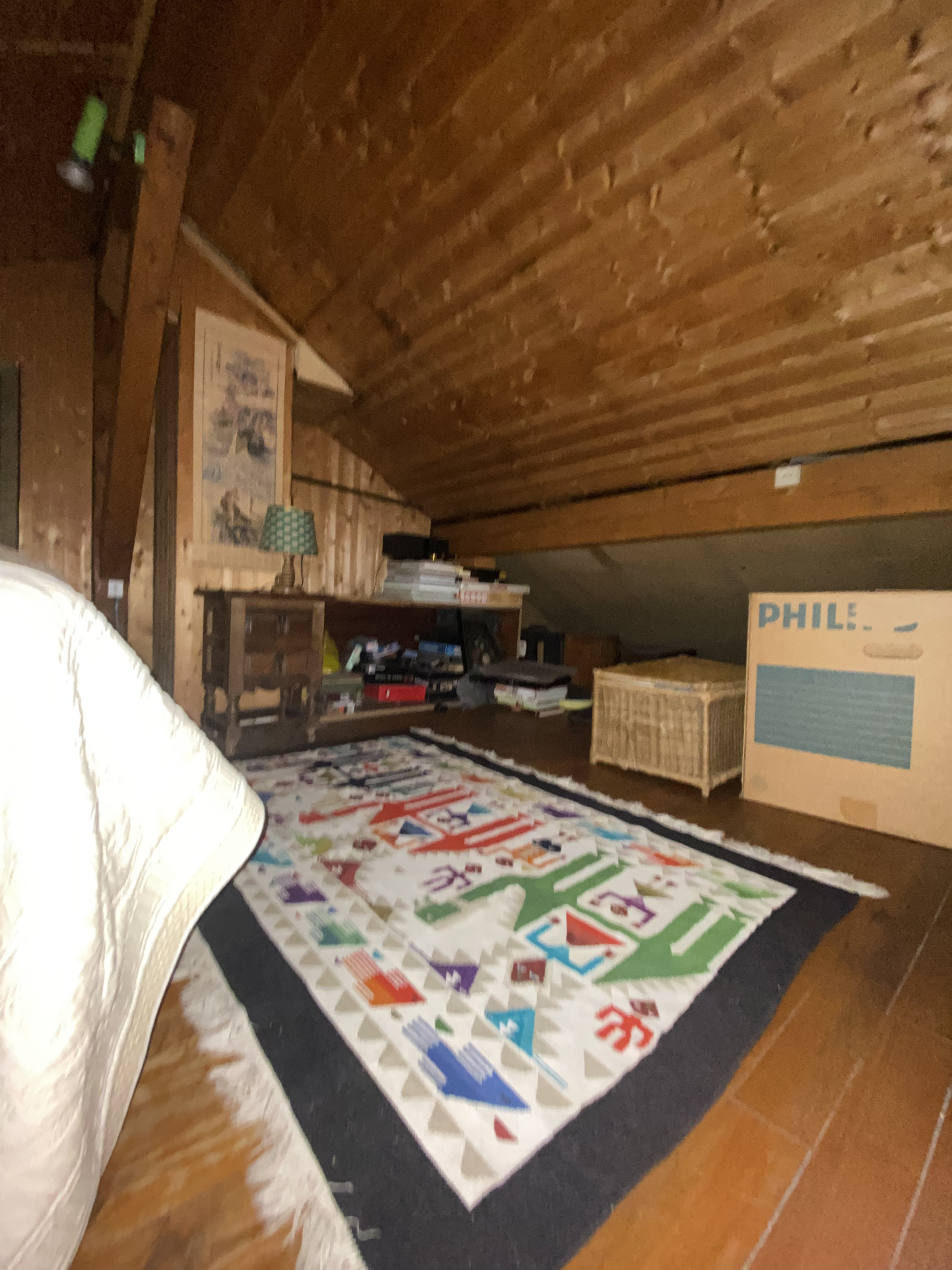 vente maison CHAMONIX MONT BLANC