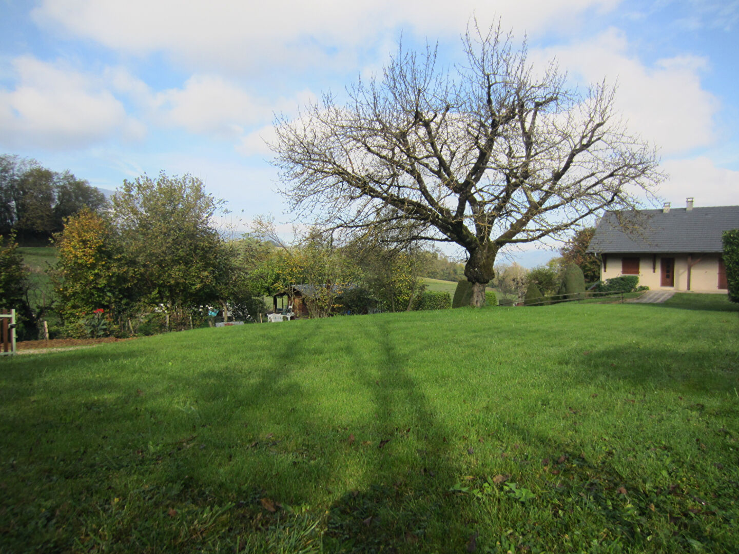 vente terrain 