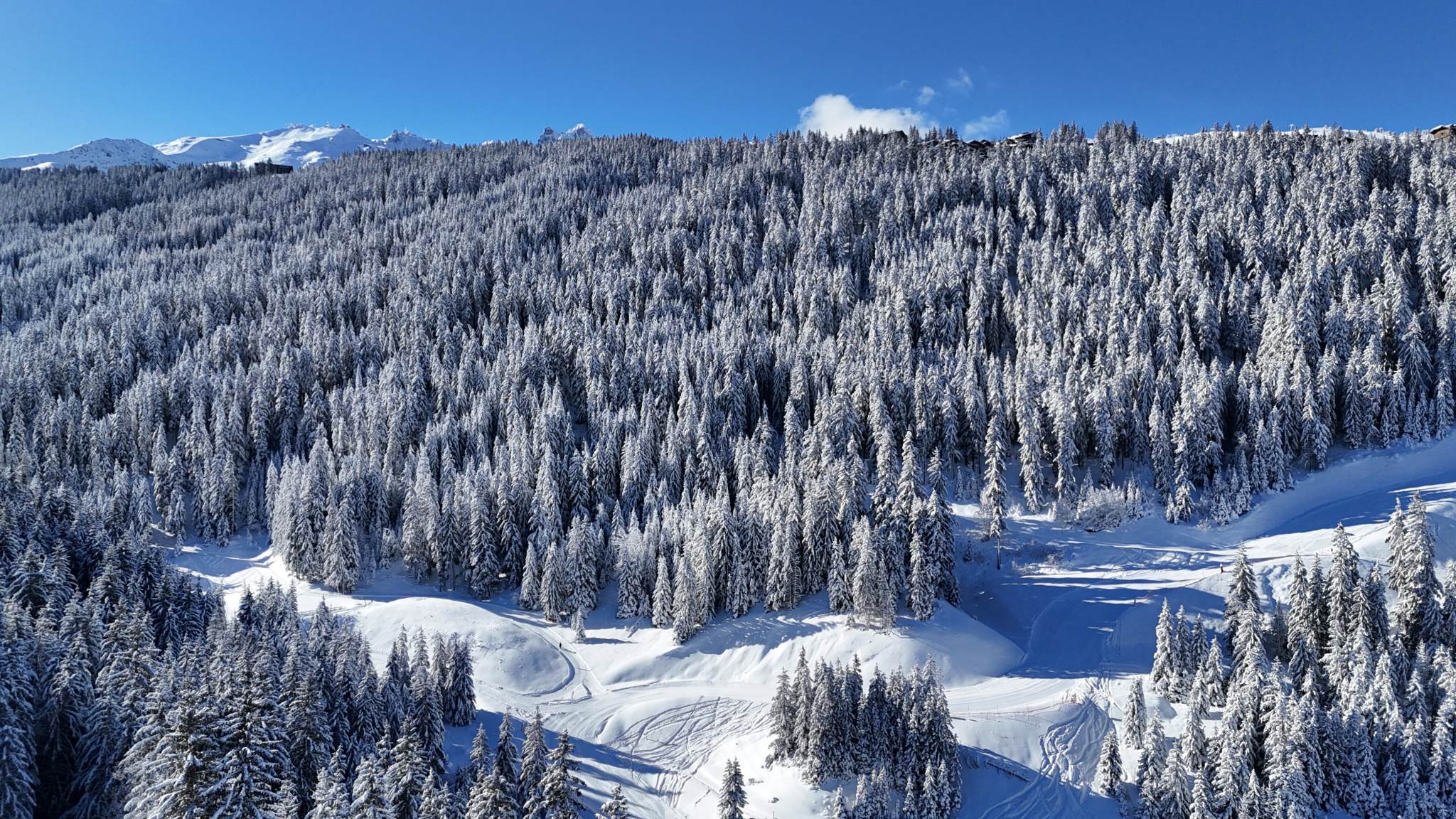 vente appartement COURCHEVEL