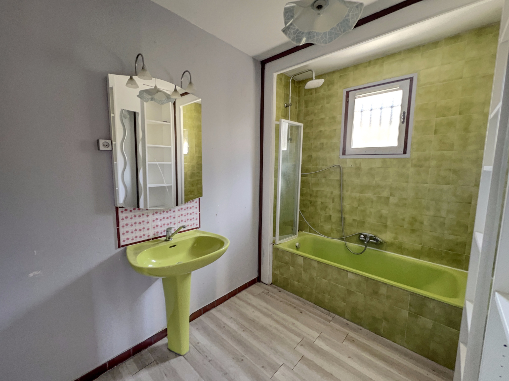 vente maison LEPIN LE LAC