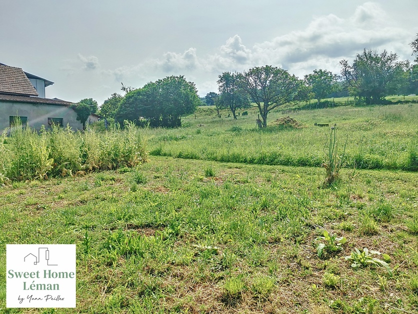 vente terrain 
